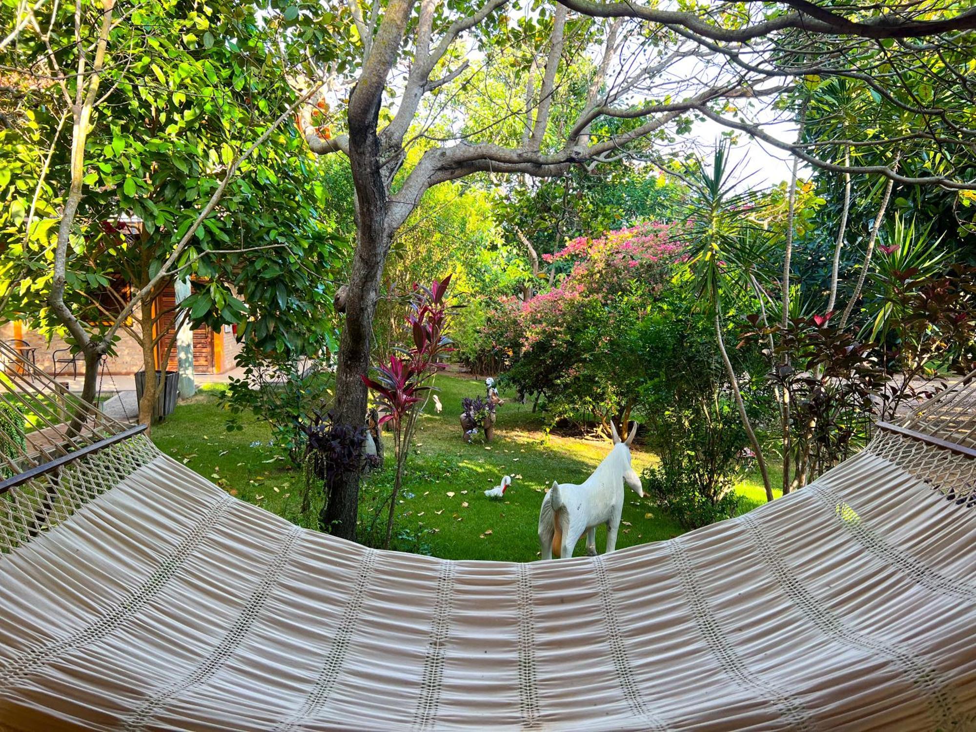 Pousada Rancho Da Serra Martins Eksteriør billede